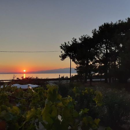Το Σπίτι Με Το Πηγάδι - Wellcottage Thassos Skála Kallirákhis Zewnętrze zdjęcie