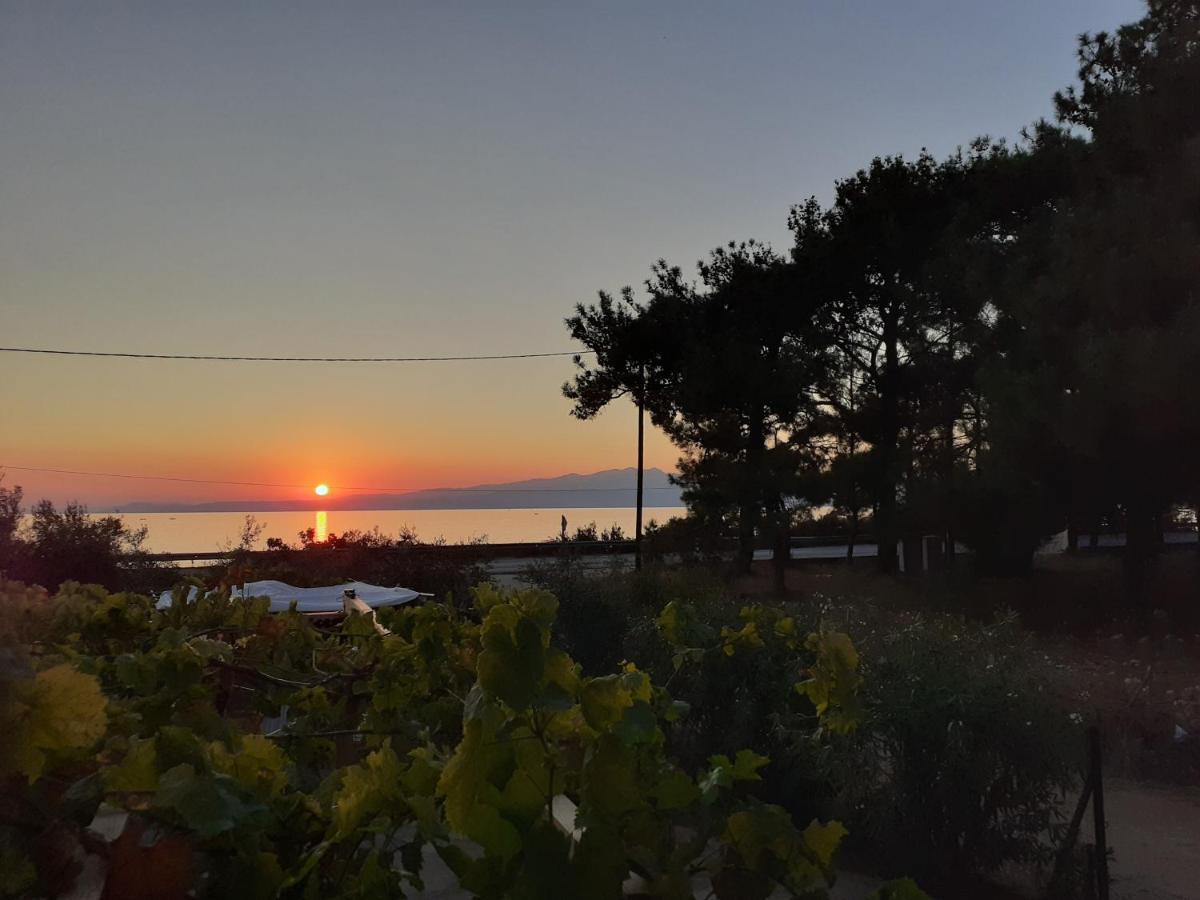 Το Σπίτι Με Το Πηγάδι - Wellcottage Thassos Skála Kallirákhis Zewnętrze zdjęcie