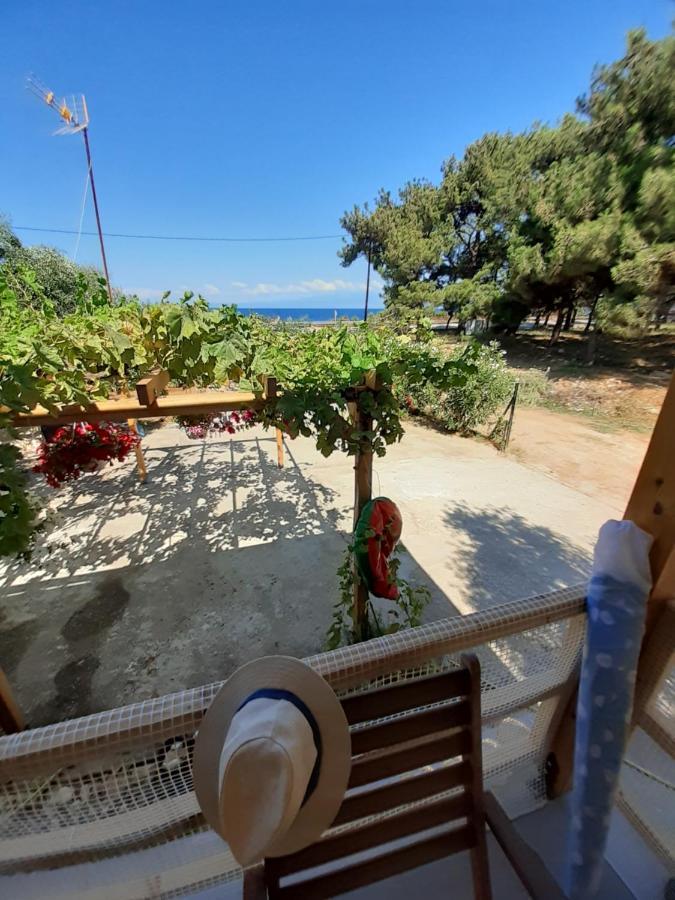 Το Σπίτι Με Το Πηγάδι - Wellcottage Thassos Skála Kallirákhis Zewnętrze zdjęcie