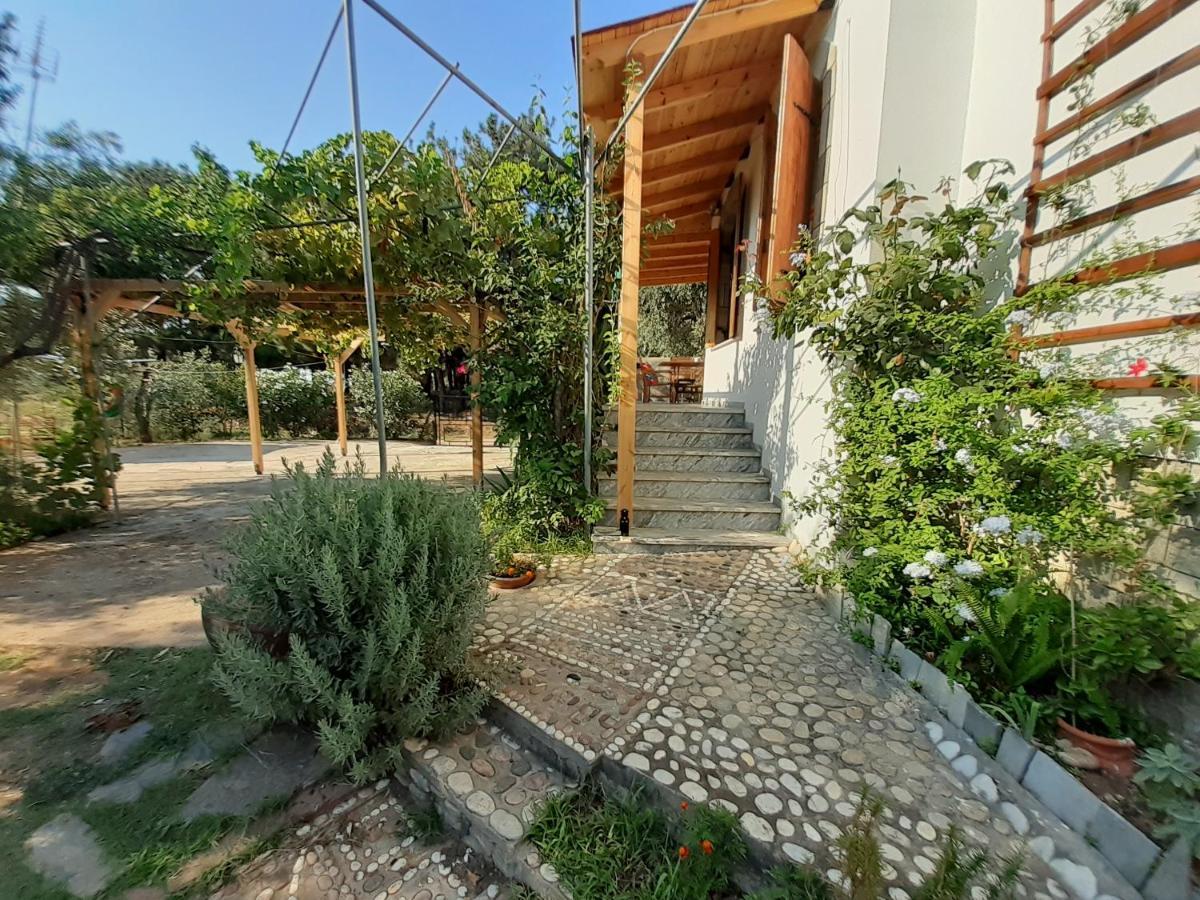 Το Σπίτι Με Το Πηγάδι - Wellcottage Thassos Skála Kallirákhis Zewnętrze zdjęcie