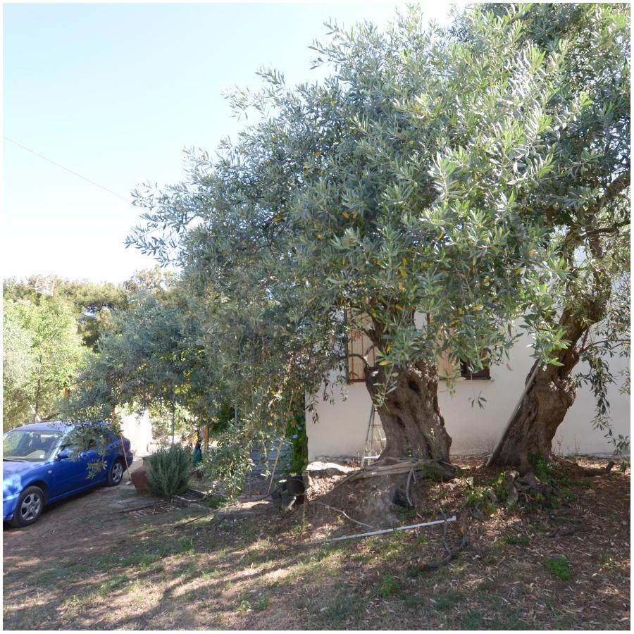 Το Σπίτι Με Το Πηγάδι - Wellcottage Thassos Skála Kallirákhis Zewnętrze zdjęcie