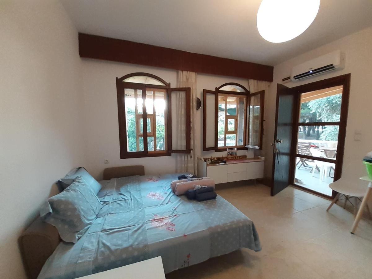 Το Σπίτι Με Το Πηγάδι - Wellcottage Thassos Skála Kallirákhis Zewnętrze zdjęcie