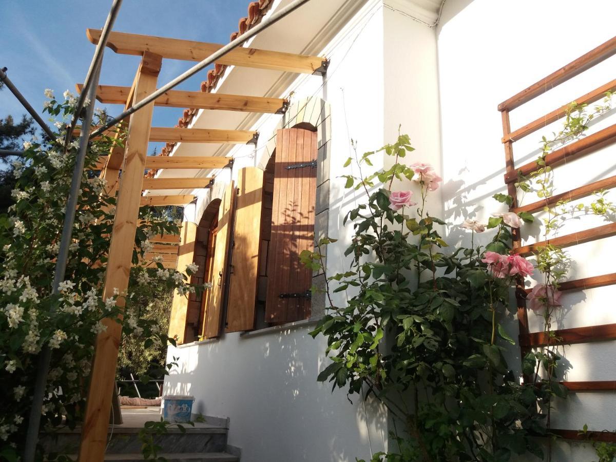 Το Σπίτι Με Το Πηγάδι - Wellcottage Thassos Skála Kallirákhis Zewnętrze zdjęcie