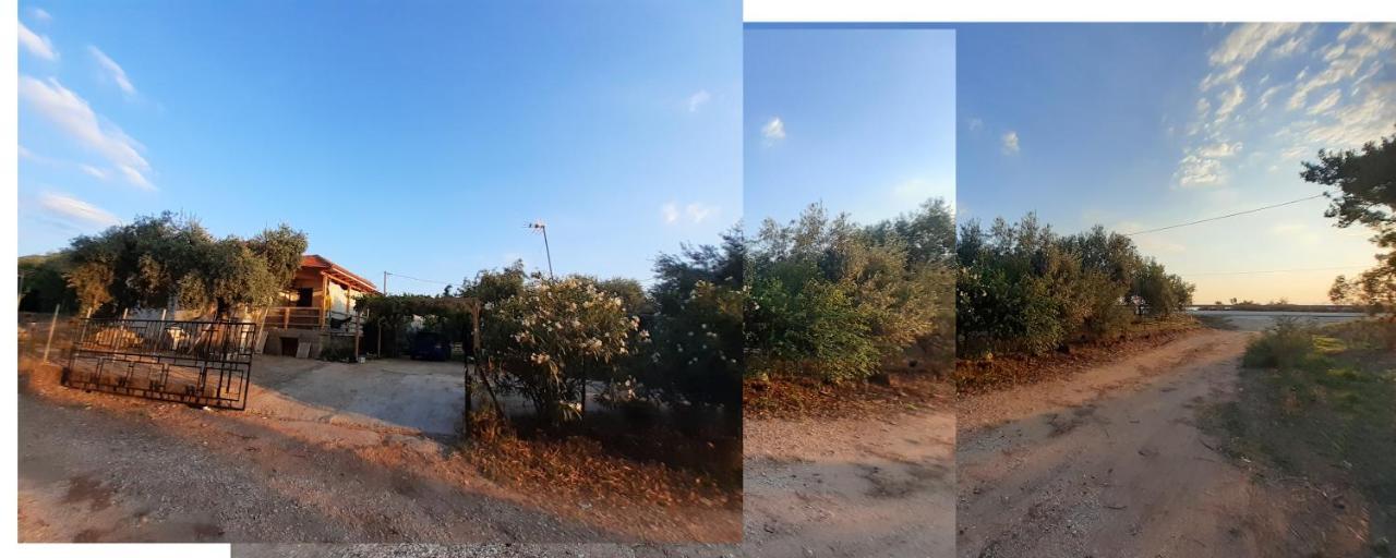 Το Σπίτι Με Το Πηγάδι - Wellcottage Thassos Skála Kallirákhis Zewnętrze zdjęcie